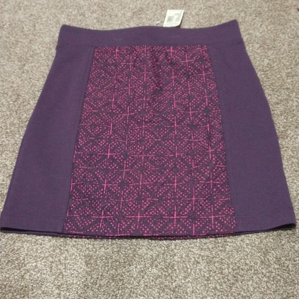 NWT American Eagle Outfitters Mini Skirt Size 0